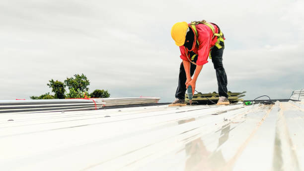 Best Roof Leak Repair  in Hemphill, TX